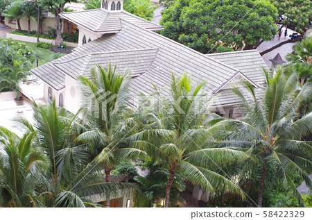 Hilton Hawaiian Village Hilton Hawaiian Village 58422329