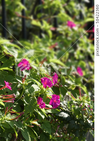 Osloi burner 58422360