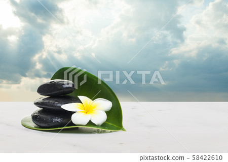 spa tropical objects for healthy therapy spa tropical objects for healthy therapy 58422610