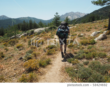 scenery of high mountains corsician alpes with big pine tree rocks boulders, green bush and blue sky 58424692