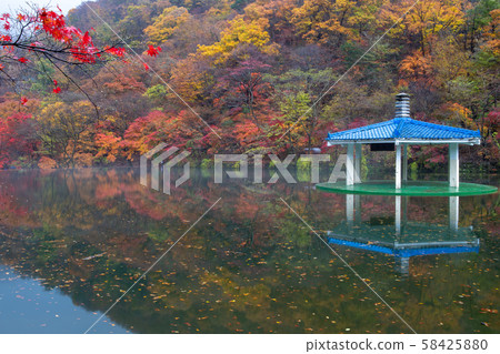Rainy Naejangsan Lake and Sperm 58425880