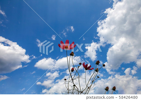 美麗的宇宙街與藍藍的天空 58426480