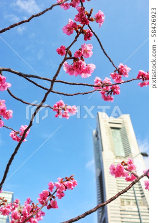 Landmark Tower Sakura 47 Landmark Tower Sakura 47 58426923
