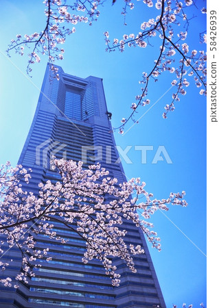 Landmark Tower Sakura 62 Landmark Tower Sakura 62 58426939