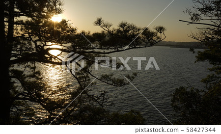 Sunset and pine Sunset and pine 58427344