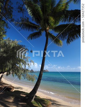 New Caledonia Anse Vata Beach New Caledonia Anse Vata Beach 58427352