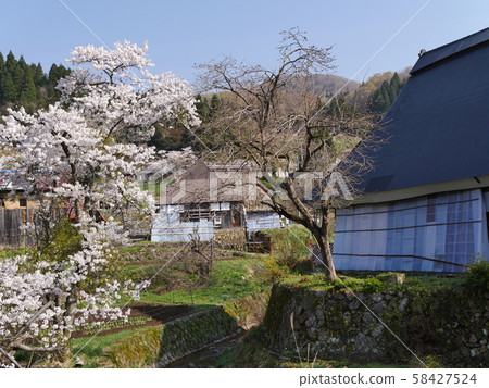探戈/宮津市龜谷屋村“日本之裡100種精選”“非物質民俗文化遺產” /京都府宮津市 58427524