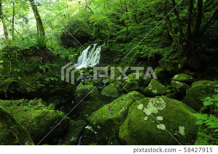 Motoyuki underwater water 58427915