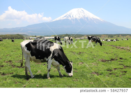 Fuji and ranch Fuji and ranch 58427937