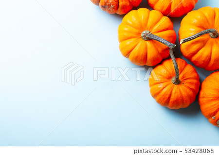 pumpkin on table pumpkin on table 58428068