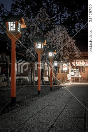 《京都》在平野神社垂枝櫻花 《京都》在平野神社垂枝櫻花 58429790