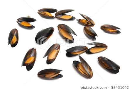 mussels isolated mussels isolated 58431042