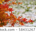 北海道的秋葉 58431267