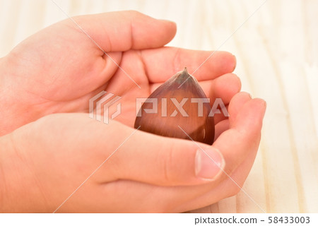 栗子和手 栗子和手 58433003
