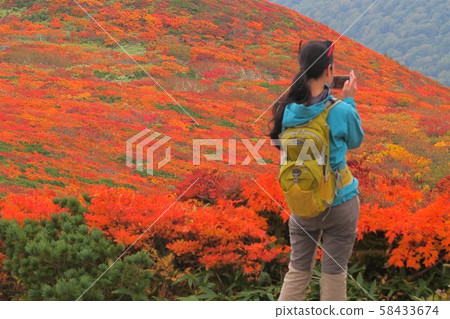 Superb view of Mt. Kurikoma Autumn leaves and mountain girl 2 Superb view of Mt. Kurikoma Autumn leaves and mountain girl 2 58433674