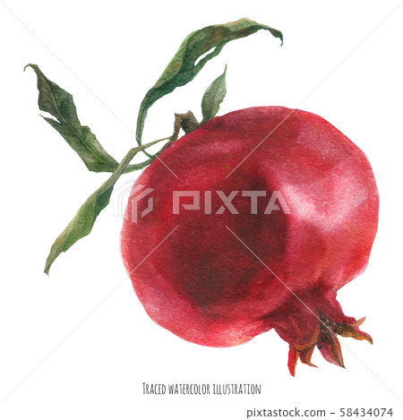 Big fresh pomegranate fruit Big fresh pomegranate fruit 58434074