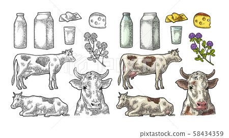Set Milk farm. Cow, clover, box, cheese, glass and 58434359