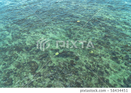 Clear water can see corals and fish Clear water can see corals and fish 58434451
