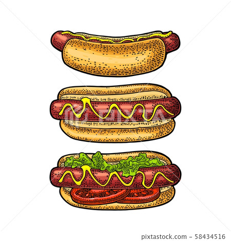 Hotdog with tomato, mustard, leave lettuce. Vector Hotdog with tomato, mustard, leave lettuce. Vector 58434516