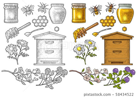 Honey set. Vector vintage color engraving isolated Honey set. Vector vintage color engraving isolated 58434522