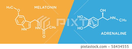 Melatonin and adrenaline hormone symbols. Human body hormones molecular chemical formula. Melatonin and adrenaline hormone symbols. Human body hormones molecular chemical formula. 58434555