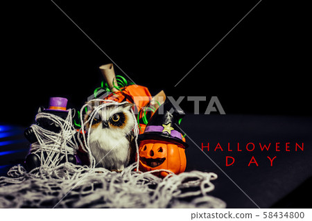 Halloween Pumpkins, black Cat and Owl on back 58434800