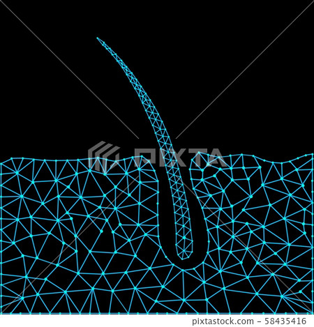 Abstract structure of hair growth. Vector illustration. Abstract structure of hair growth. Vector illustration. 58435416