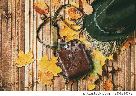 Variety of autumn leaves Variety of autumn leaves 58436072