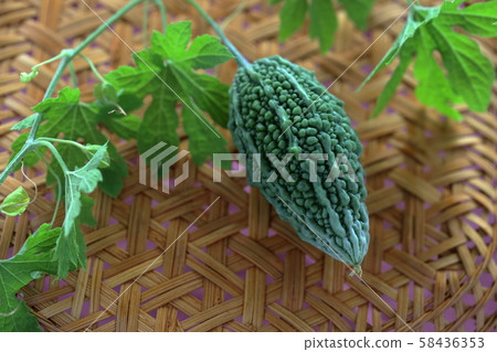 苦瓜 58436353