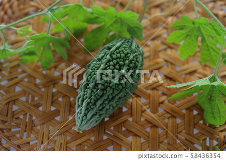 苦瓜 苦瓜 58436354