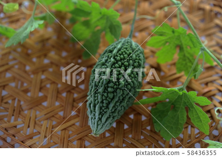 苦瓜 苦瓜 58436355
