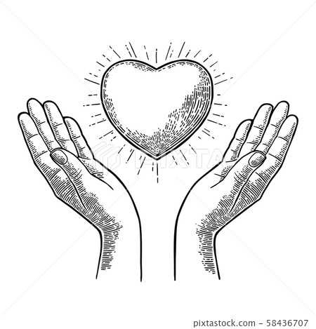 Heart with rays in open female human palms. Vector black vintage engrav Heart with rays in open female human palms. Vector black vintage engrav 58436707