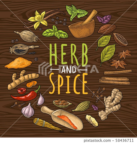 Circle shape set with HERB and SPICE. Set vector color engraving Circle shape set with HERB and SPICE. Set vector color engraving 58436711