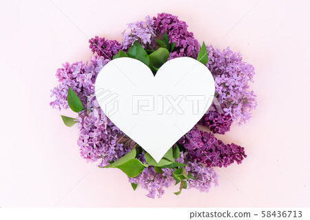 Fresh lilac flowers Fresh lilac flowers 58436713