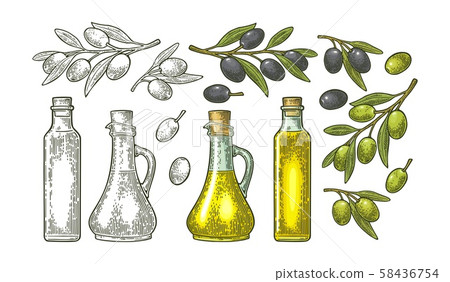 Bottle glass oil with cork stopper and branch... - Stock Illustration ...