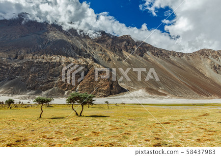 Landscape of Nubra valley. Hunber, Nubra valley, Ladakh, India Landscape of Nubra valley. Hunber, Nubra valley, Ladakh, India 58437983