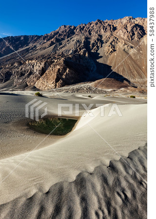 Sand dunes in mountains 58437988