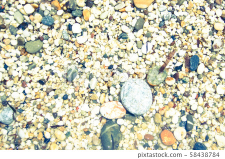 Coarse grain send. 58438784