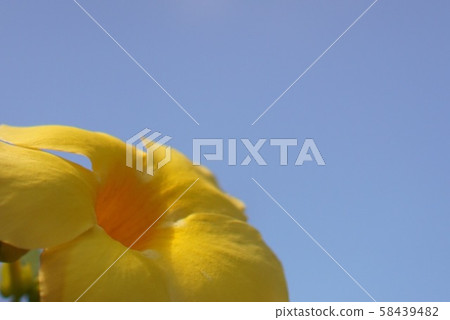 Summer is the end 58439482