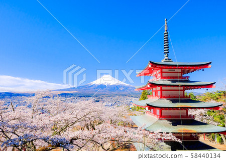 新村山淺間公園的風景（春季） 58440134