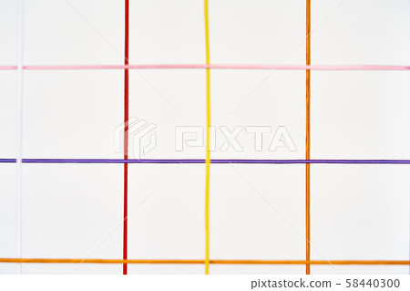 The network 58440300