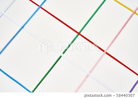 The network 58440307