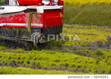 Harvest Harvest 58440861