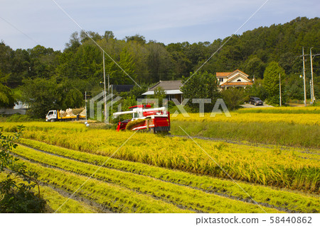 Harvest Harvest 58440862