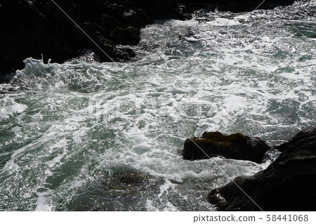 Yokosuka city Arasaki park 58441068