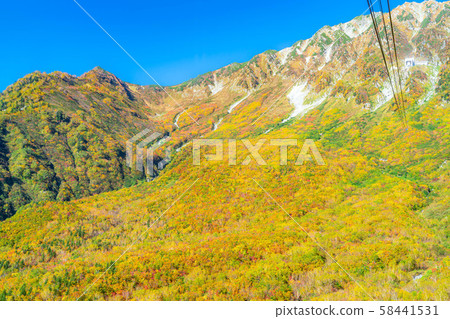 秋天的代官峰，景色極佳，可俯瞰黑部平的代官峰[富山縣] 58441531