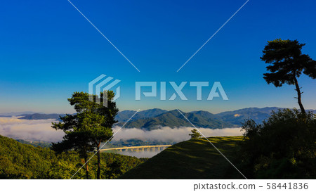 Necklace Necklace 58441836