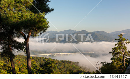 Necklace Necklace 58441837