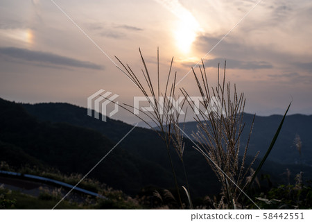 鈴木和藍天在夕陽下閃閃發光2019.10 b-1 58442551