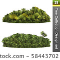 Trees correction design set. Forest isolated. 58443702